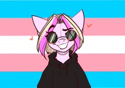 Size: 2048x1431 | Tagged: safe, artist:falafeljake, oc, oc:lazzy butt, pride, pride flag, solo, sunglasses, transgender pride flag