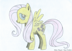 Size: 7016x4980 | Tagged: safe, artist:moon flower, derpibooru import, fluttershy, arthropod, butterfly, insect, pegasus, pony, series:moon flower's fluttershy, friendship is magic, 2016, absurd resolution, colored, colored pencil drawing, cutie mark, drawing, equine, fanart, female, fur, furbooru exclusive, hair, hasbro, hooves, looking at you, mammal, mane, mare, my little pony, pencil, pencil drawing, pink hair, pink tail, side view, signature, simple background, smiling, solo, solo female, spread wings, standing, stock vector, tail, traditional art, tutorial result, white background, wings, yellow fur