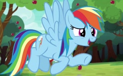 Size: 648x401 | Tagged: safe, derpibooru import, screencap, rainbow dash, buckball season