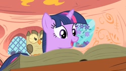 Size: 1280x720 | Tagged: safe, derpibooru import, screencap, owlowiscious, twilight sparkle, owl's well that ends well, book, golden oaks library