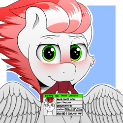 Size: 2000x2000 | Tagged: safe, artist:h3nger, derpibooru import, oc, oc:swift apex, pegasus, pony, blushing, horny on main, id card, implied shipping, pegasus oc, simple background, solo, spread wings, wings