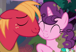 Size: 713x493 | Tagged: safe, derpibooru import, screencap, big macintosh, sugar belle, earth pony, pony, unicorn, season 8, the break up breakdown, spoiler:s08, cropped, cute, daaaaaaaaaaaw, eyes closed, female, hnnng, macabetes, male, mare, mud, muddy, nuzzling, shipping, smiling, stallion, straight, sugarbetes, sugarmac