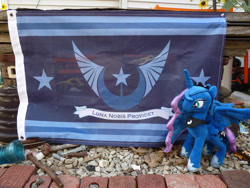 Size: 1024x768 | Tagged: safe, artist:lonewolf3878, derpibooru import, princess luna, alicorn, pony, female, flag, irl, new lunar republic, photo, plushie