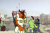 Size: 700x467 | Tagged: safe, artist:omelettepony, ponerpics import, autumn blaze, cinder glow, spring glow, summer flare, winter flame, kirin, drawthread, female, gun, hoof hold, korean, male, mare, meme, offscreen character, ponified, ponified meme, rifle, roof kirin, roof korean, sitting, smiling, stallion, sunglasses, weapon