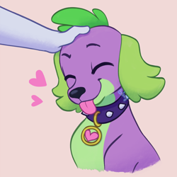 Size: 1280x1280 | Tagged: safe, artist:flightless-fox, derpibooru import, spike, dog, equestria girls, collar, hand, head pat, pat, simple background, spike the dog