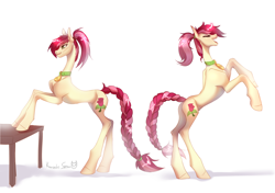 Size: 3264x2298 | Tagged: safe, alternate version, artist:satan, derpibooru import, roseluck, pony, alternate hairstyle, braid, collar, commission, commissioner:doom9454, cute, pet tag, pony pet, ponytail, rosepet, table