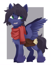 Size: 1402x1808 | Tagged: safe, artist:irusumau, derpibooru import, oc, oc only, oc:fenris ebonyglow, pegasus, pony, solo