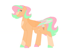 Size: 1280x854 | Tagged: safe, artist:itstechtock, derpibooru import, oc, oc:rainbow sherbet, pegasus, colored wings, female, mare, multicolored wings, simple background, solo, white background, wings