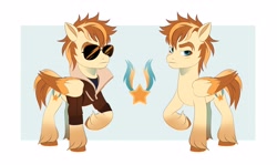 Size: 4096x2436 | Tagged: safe, artist:irusumau, derpibooru import, oc, oc only, pony, clothes, glasses, jacket, reference sheet, solo