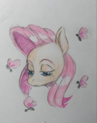 Size: 650x819 | Tagged: safe, artist:kotle1ka, derpibooru import, fluttershy, butterfly, simple background, solo, traditional art, white background