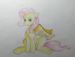 Size: 1157x886 | Tagged: safe, artist:kotle1ka, derpibooru import, fluttershy, pegasus, pony, simple background, sitting, solo, traditional art, white background