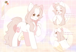 Size: 1600x1100 | Tagged: safe, artist:cofiiclouds, derpibooru import, oc, oc only, oc:glassy mind, pegasus, pony, reference sheet, solo