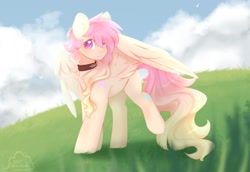 Size: 1600x1100 | Tagged: safe, artist:cofiiclouds, derpibooru import, oc, oc only, pegasus, pony, cloud, collar, grass, sky, solo