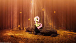 Size: 3840x2160 | Tagged: safe, artist:drakesparkle44, artist:slb94, derpibooru import, edit, fluttershy, pegasus, pony, falling leaves, female, forest, irl, leaves, lighting, looking at you, mare, photo, ponies in real life, rock, shadow, sitting, smiling, smiling at you, solo, tree, wallpaper, wallpaper edit, watermark