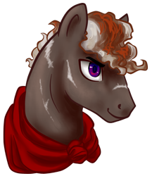 Size: 1427x1654 | Tagged: safe, artist:saby, derpibooru exclusive, derpibooru import, oc, oc only, oc:cumulonimbus, pegasus, pony, brown coat, bust, cloak, clothes, curly hair, curly mane, horse heresy, male, purple eyes, scarred, smiling, solo, stallion, striped mane
