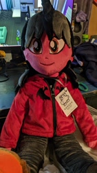 Size: 2160x3840 | Tagged: safe, artist:lavim, derpibooru import, photographer:lightningbolt, human, equestria girls, clothes, commission, equestria girls-ified, fall out boy, hoodie, irl, male, pants, pete wentz, photo, plushie, shoes, smiling, solo