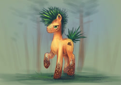 Size: 1000x698 | Tagged: safe, artist:elunian, derpibooru import, oc, oc only, oc:pine, earth pony, pony, blurry background, forest background, male, solo, stallion