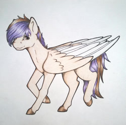 Size: 1024x1021 | Tagged: safe, artist:dexterisse, derpibooru import, oc, oc only, oc:lahariel, pegasus, pegasus oc, simple background, solo, traditional art, white background