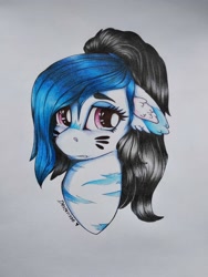 Size: 3000x4000 | Tagged: safe, artist:dexterisse, derpibooru import, oc, oc only, female, mare, simple background, solo, traditional art, white background