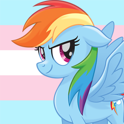 Size: 250x250 | Tagged: safe, rainbow dash, my little pony: the movie, cute, dashabetes, rainbow dash is best pony, rainbow sass, solo, transgender pride flag