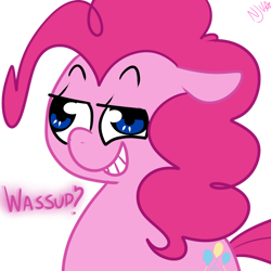 Size: 1024x1024 | Tagged: safe, artist:chandelurres, derpibooru import, pinkie pie, earth pony, pony, derp, dialogue, female, mare, solo