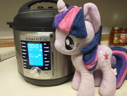 Size: 4608x3456 | Tagged: safe, derpibooru exclusive, derpibooru import, twilight sparkle, 4de, instant pot, irl, photo, plushie, pressure cooker, this can only end well, tomato sauce