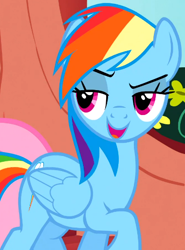 Size: 380x513 | Tagged: safe, derpibooru import, screencap, fluttershy, rainbow dash, pegasus, pony, season 1, sonic rainboom (episode), cropped, female, front view, lidded eyes, mare, offscreen character, open mouth, solo focus