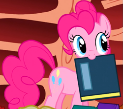 Size: 565x505 | Tagged: safe, derpibooru import, screencap, pinkie pie, earth pony, pony, season 1, sonic rainboom (episode), cropped, cute, diapinkes, female, golden oaks library, mare, mouth hold, solo