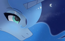 Size: 1920x1237 | Tagged: safe, artist:scarletextreme, derpibooru import, princess luna, alicorn, pony, bust, ethereal mane, female, looking up, mare, portrait, side view, smiling, starry night