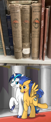 Size: 1064x2568 | Tagged: safe, artist:laptopgun, derpibooru import, flash sentry, shining armor, pegasus, pony, unicorn, equestria girls, equestria girls (movie), book, bookshelf, funny, gay, implied gay, infidelity, irl, male, photo, shiningsentry, shipping, stallion