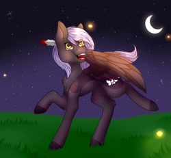 Size: 2048x1895 | Tagged: safe, artist:midnightmagic15, derpibooru import, oc, oc only, firefly (insect), insect, pegasus, pony, chest fluff, crescent moon, eye clipping through hair, feather, feather in hair, moon, night, old art, open mouth, open smile, smiling, solo, spread wings, wings