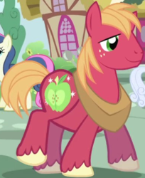 Size: 387x474 | Tagged: safe, derpibooru import, screencap, big macintosh, bon bon, linky, shoeshine, sweetie drops, earth pony, pony, friendship is magic, big macintosh's yoke, cropped, horse collar, male, solo focus, stallion