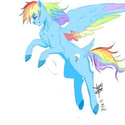 Size: 1024x1024 | Tagged: safe, artist:captainloafnugget, derpibooru import, rainbow dash, pegasus, colored wings, flying, multicolored wings, pounce, simple background, wings