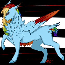 Size: 1000x1000 | Tagged: safe, artist:captainloafnugget, derpibooru import, rainbow dash, pegasus, chest fluff, colored wings, fluffy, lines, long mane, multicolored wings, short tail, simple background, tail, wings