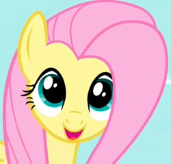 Size: 752x720 | Tagged: safe, derpibooru import, screencap, fluttershy, pegasus, pony, season 1, the ticket master, beautiful, cropped, cute, female, hnnng, mare, open mouth, open smile, shyabetes, smiling, solo