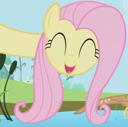 Size: 660x653 | Tagged: safe, derpibooru import, screencap, fluttershy, bird, pegasus, pony, season 1, the ticket master, :d, ^^, animal, bittern, cropped, cute, eyes closed, female, long neck, mare, open mouth, open smile, shyabetes, smiling, water