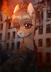 Size: 1467x2048 | Tagged: safe, artist:kaito_wivil, derpibooru import, oc, oc only, earth pony, pony, building, clothes, military uniform, solo, ukraine, uniform