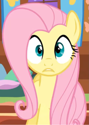 Size: 505x710 | Tagged: safe, derpibooru import, screencap, fluttershy, pegasus, pony, season 1, stare master, cropped, female, fluttershy's cottage, i've seen some shit, looking at you, mare, oh shi-!, solo, stare