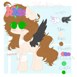 Size: 1024x1024 | Tagged: safe, artist:magicangelstarartist, derpibooru import, oc, oc only, oc:black wings, pegasus, bandage, floral head wreath, flower, simple background, solo