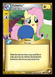 Size: 344x480 | Tagged: safe, derpibooru import, apple bloom, fluttershy, scootaloo, sweetie belle, the cutie mark chronicles, ccg, cutie mark crusaders, enterplay, equestrian odysseys, helmet, merchandise