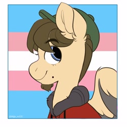 Size: 3000x3000 | Tagged: safe, artist:dejji_vuu, derpibooru import, oc, oc only, pegasus, pony, pride, pride flag, solo