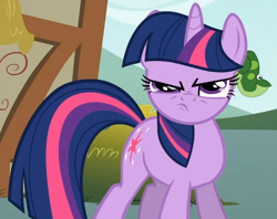 Size: 622x492 | Tagged: safe, derpibooru import, screencap, twilight sparkle, unicorn twilight, frog, pony, unicorn, feeling pinkie keen, season 1, cropped, female, frown, grumpy, grumpy twilight, mare, twilight sparkle is not amused, unamused