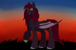 Size: 1280x854 | Tagged: safe, artist:sallybatbridge, derpibooru import, oc, oc:amaranth, bat pony, bat pony oc, male, stallion