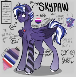 Size: 1046x1057 | Tagged: safe, artist:dejji_vuu, derpibooru import, oc, oc only, pegasus, pony, reference sheet, solo