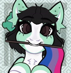 Size: 1982x2048 | Tagged: safe, artist:dejji_vuu, derpibooru import, oc, oc only, earth pony, pony, bisexual pride flag, pride, pride flag, solo