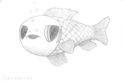 Size: 1920x1286 | Tagged: safe, artist:moon flower, derpibooru import, oc, oc only, fish, 2020, ambiguous gender, bubble, feral, fins, gills, grayscale, logo, monochrome, moon flower logo, open mouth, pencil drawing, scales, side view, signature, simple background, solo, solo ambiguous, three-quarter view, traditional art, unnamed character, white background