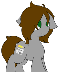 Size: 608x743 | Tagged: safe, artist:starstrucksocks, derpibooru import, oc, oc only, earth pony, pony, earth pony oc, female, gray coat, green eyes, mare, simple background, solo, standing, transparent background