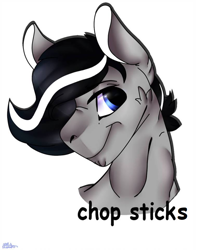 Size: 800x960 | Tagged: safe, derpibooru import, oc, oc only, oc:chopsticks, pegasus, bust, cheek fluff, hunk, simple background, solo, text, white background