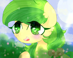 Size: 999x800 | Tagged: safe, artist:magicangelstarartist, derpibooru import, apple fritter, earth pony, apple family member, blurry background, blushing, ribbon, smiling, solo, starry eyes, wingding eyes