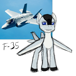 Size: 1000x1000 | Tagged: artist needed, safe, derpibooru import, oc, original species, plane pony, pony, blue eyes, colored hooves, f-35 lightning ii, grin, irl, jet, jet fighter, jet plane, looking at you, male, photo, plane, ponified, real life background, simple background, smiling, smug, solo, species swap, stallion, transparent background, unnamed oc